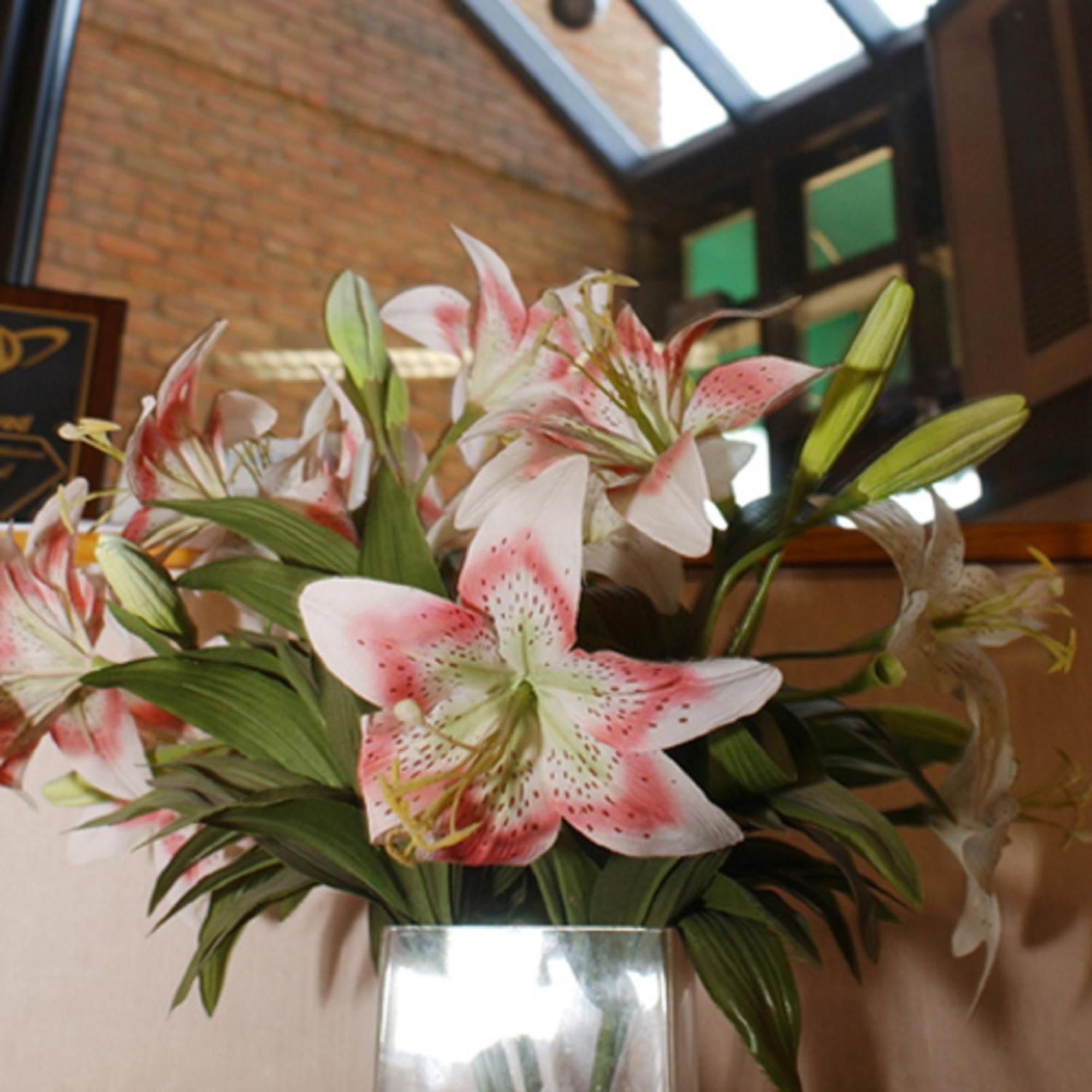 Meadow Court Inn - Ithaca Interno foto