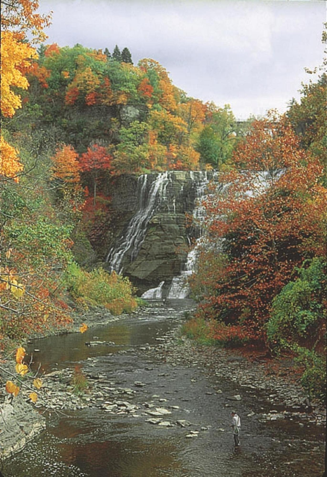 Meadow Court Inn - Ithaca Esterno foto