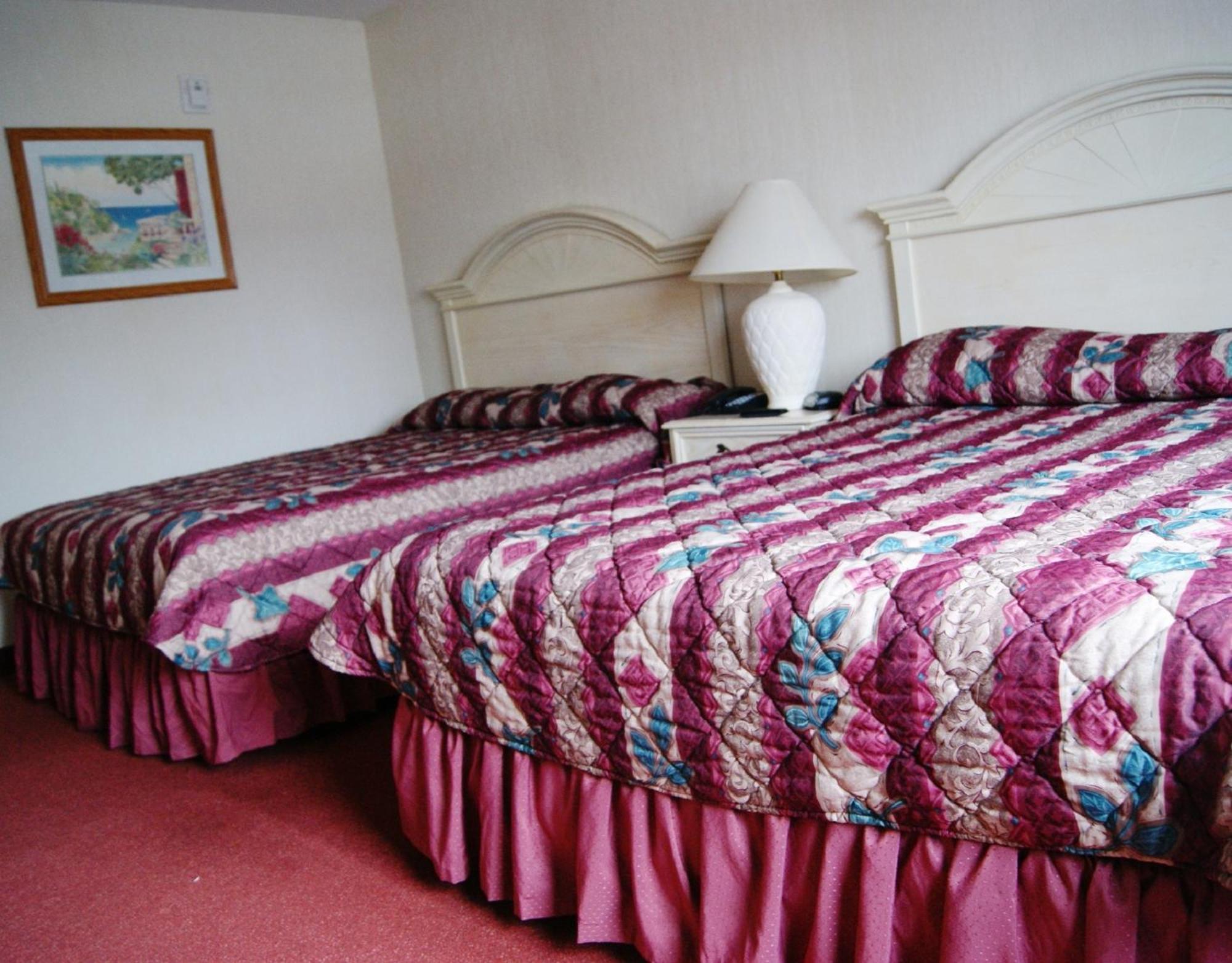 Meadow Court Inn - Ithaca Esterno foto